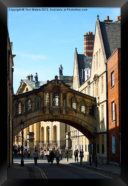 Oxford Sighs over College Lane Framed Print by Terri Waters