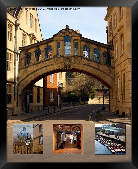 Visit Oxford Learning Pleasure Shopping Framed Print by Terri Waters