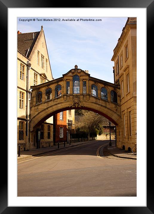 Sighs Over New College Lane Framed Mounted Print by Terri Waters
