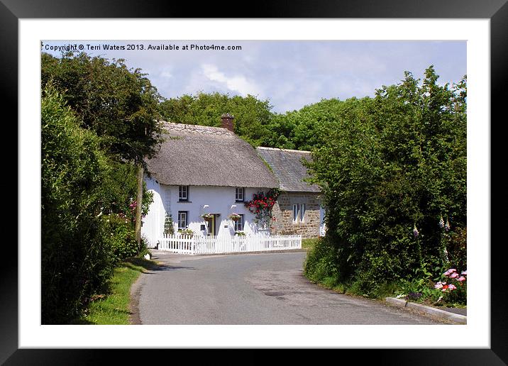 Cornish Thatched Cottage Framed Mounted Print by Terri Waters