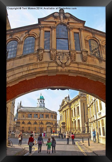 Classic Oxford Framed Print by Terri Waters