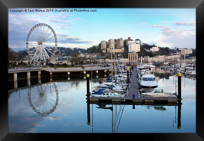 Torquay Marina And Ferris Wheel Framed Print by Terri Waters