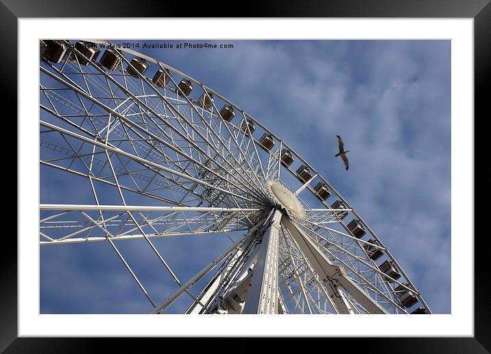 English Riviera Wheel Torquay Framed Mounted Print by Terri Waters