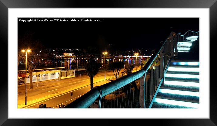 Torquay Royal Terrace Gardens Steps At Night Framed Mounted Print by Terri Waters