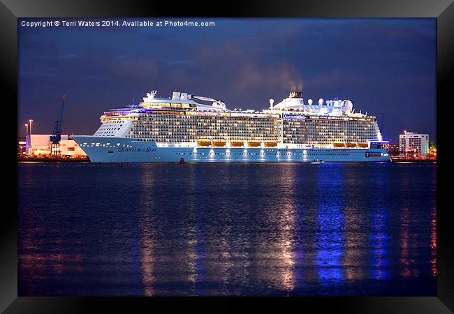  Quantum of the Seas at Night Framed Print by Terri Waters
