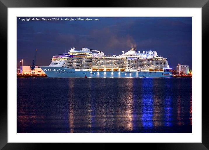  Quantum of the Seas at Night Framed Mounted Print by Terri Waters