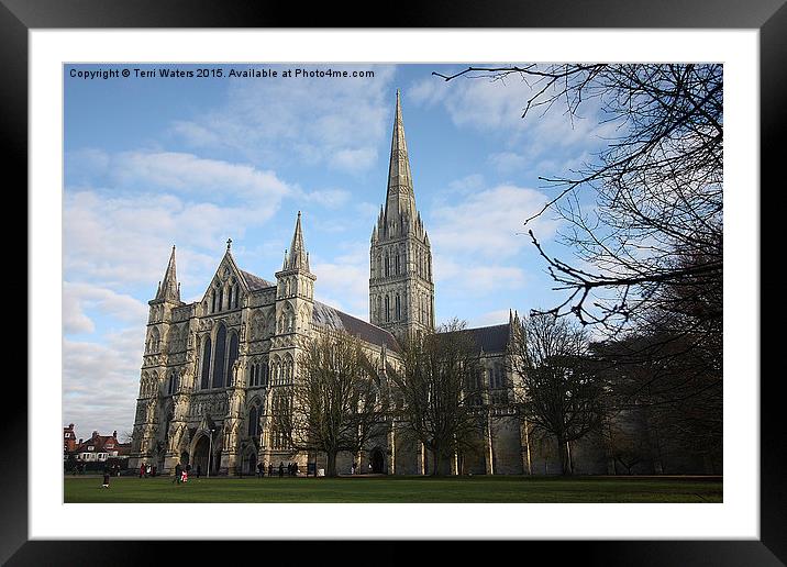 Salisbury Cathedral Framed Mounted Print by Terri Waters