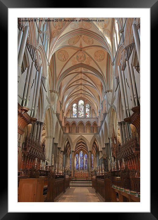 Salisbury Cathedral Quire And High Altar Framed Mounted Print by Terri Waters