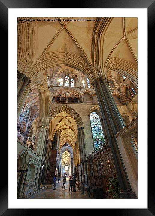  Salisbury Cathedral South Aisle Framed Mounted Print by Terri Waters
