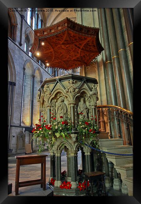  Salisbury Cathedral Pulpit  Framed Print by Terri Waters