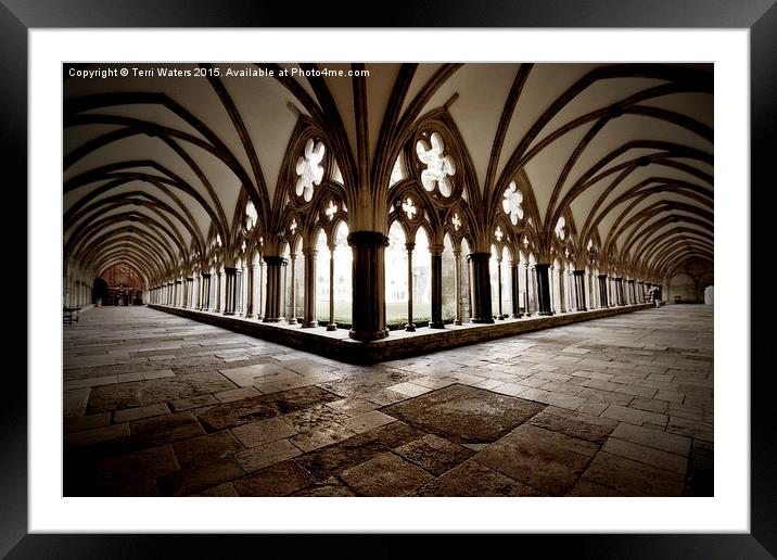  Salisbury Cathedral Cloisters Framed Mounted Print by Terri Waters