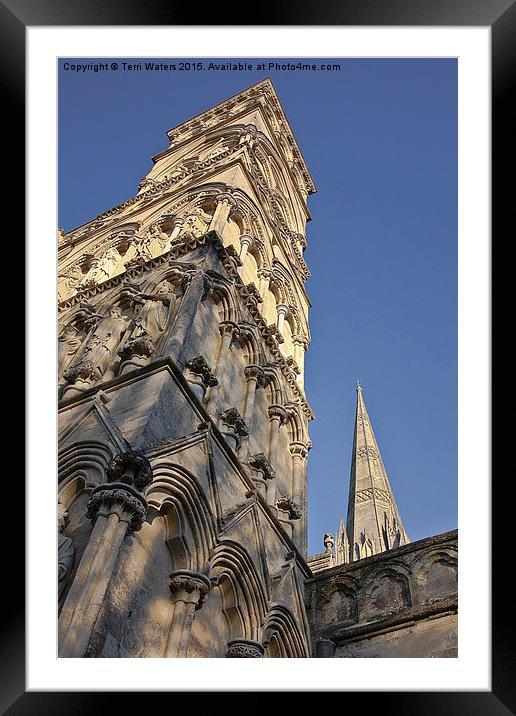  Salisbury Cathedral West Front And Spire Framed Mounted Print by Terri Waters