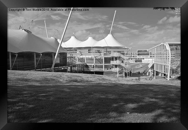  Cricket Ground Southampton Black And White Framed Print by Terri Waters