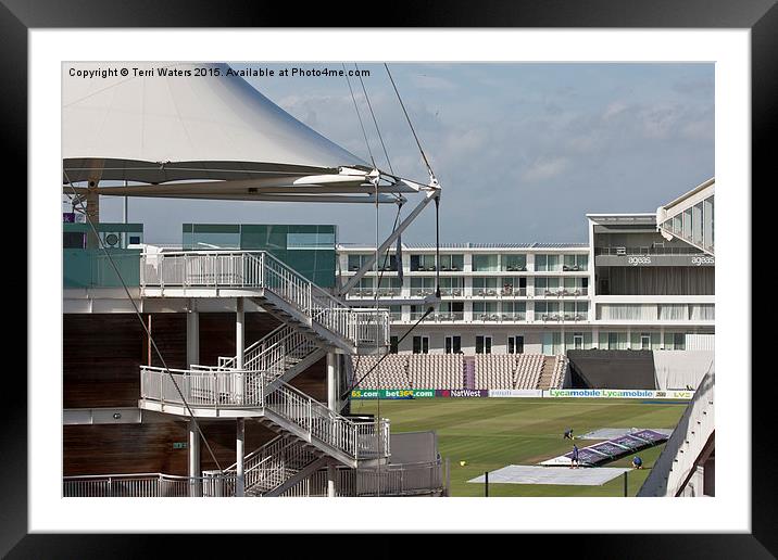 Cricket Covers Framed Mounted Print by Terri Waters