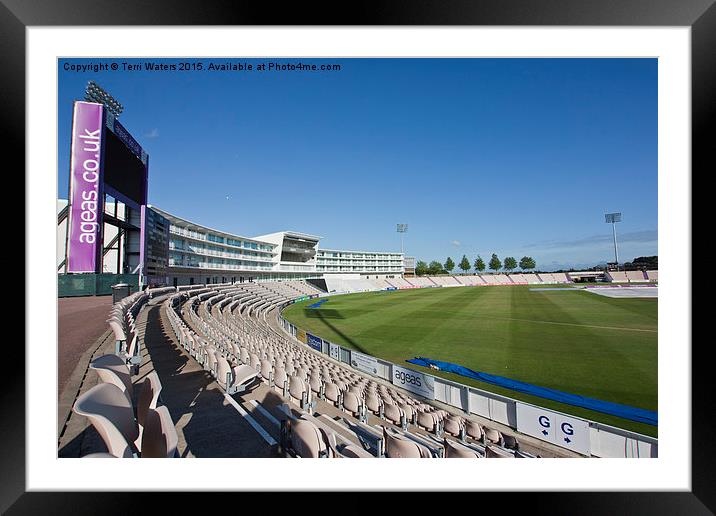  Cricket Pitch Southampton Framed Mounted Print by Terri Waters