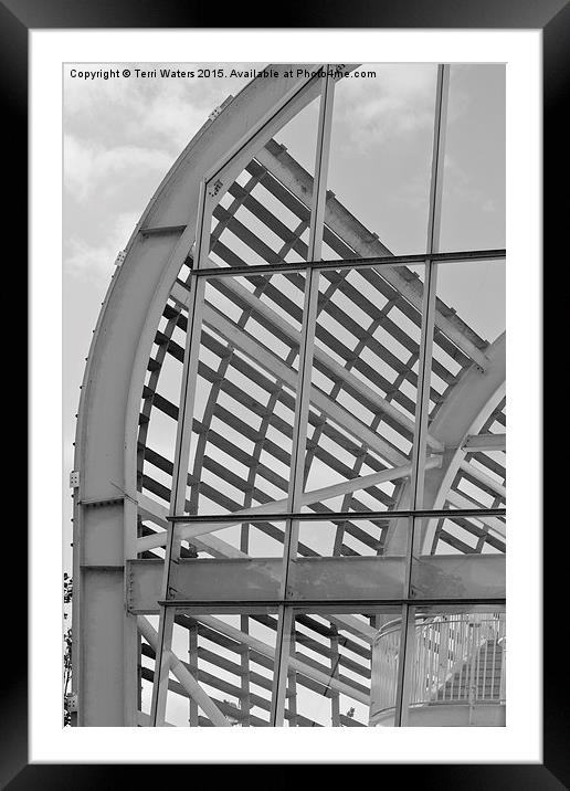 Cricket Stadium Architecture Black And White Framed Mounted Print by Terri Waters