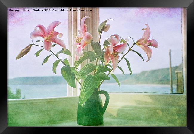Seaside Lilies  Framed Print by Terri Waters