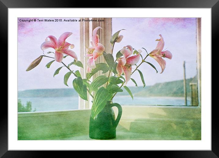 Seaside Lilies  Framed Mounted Print by Terri Waters