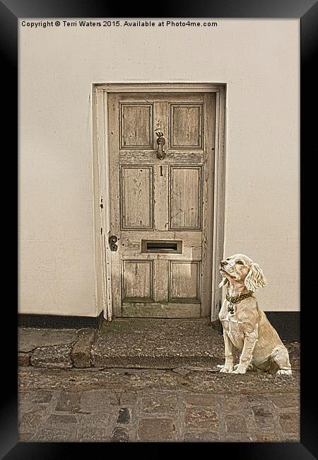 Waiting Patiently Framed Print by Terri Waters
