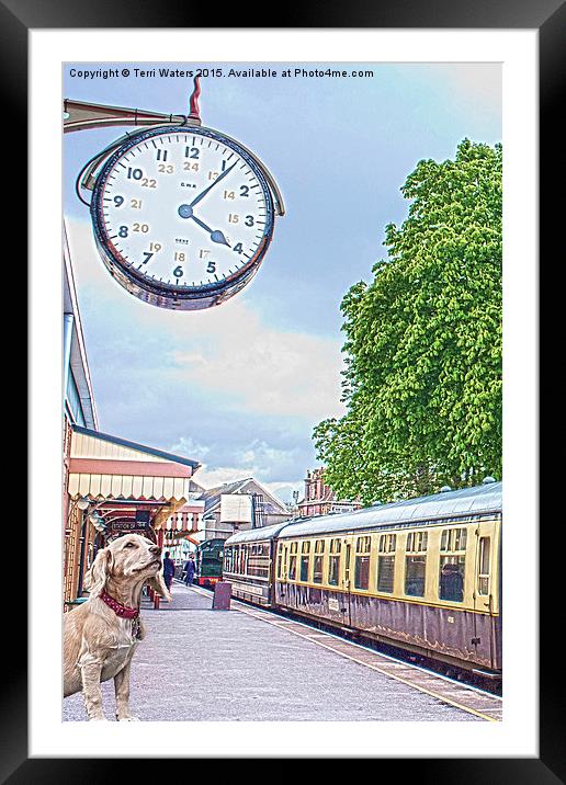 Waiting Time  Framed Mounted Print by Terri Waters