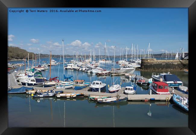 Mylor Marina Cornwall  Framed Print by Terri Waters