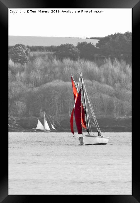 Isolated Yacht Carrick Roads Framed Print by Terri Waters