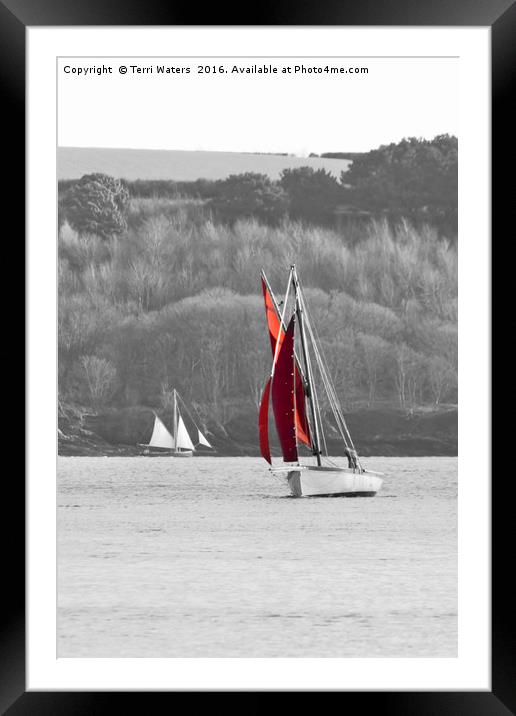Isolated Yacht Carrick Roads Framed Mounted Print by Terri Waters