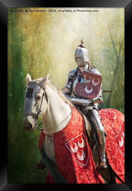 Red Knight Framed Print by Terri Waters