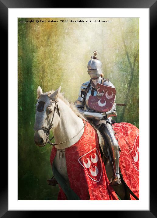 Red Knight Framed Mounted Print by Terri Waters