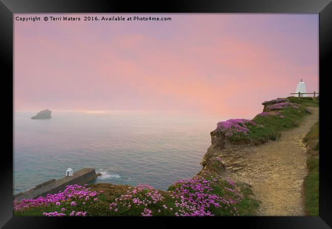 Thrift Flowers Portreath Cornwall Framed Print by Terri Waters