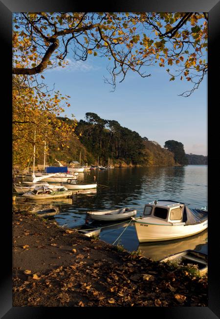 Autumn Comes to Malpas portrait Framed Print by Terri Waters