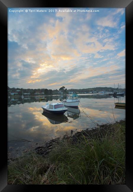 Light On The Boats Framed Print by Terri Waters