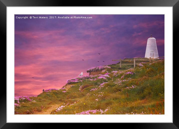 Portreath Framed Mounted Print by Terri Waters