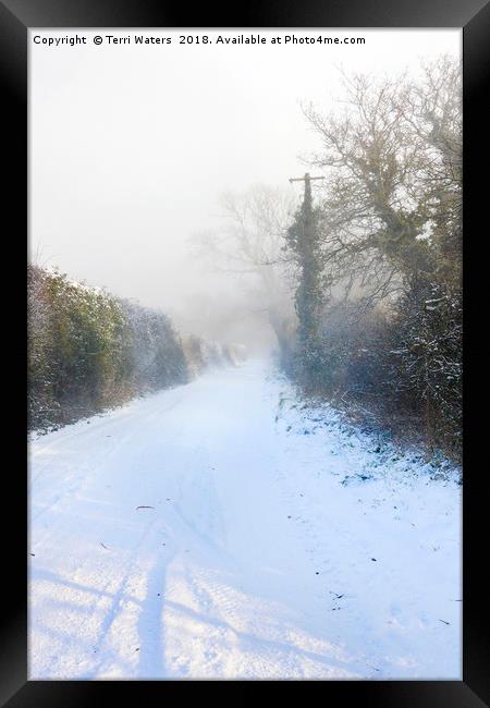 Snowy Lane Framed Print by Terri Waters