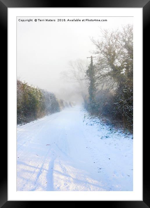 Snowy Lane Framed Mounted Print by Terri Waters
