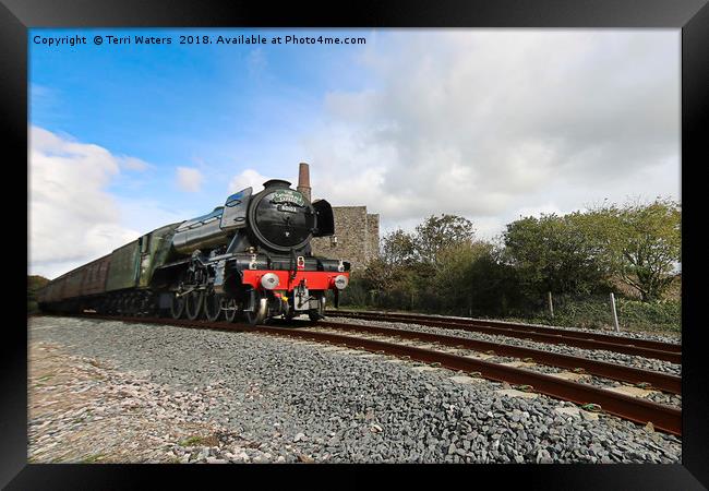 The Flying Scotsman in Cornwall Framed Print by Terri Waters