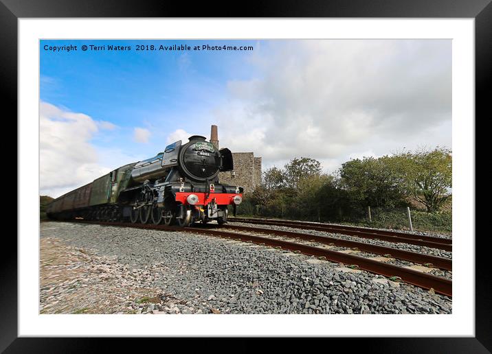 The Flying Scotsman in Cornwall Framed Mounted Print by Terri Waters