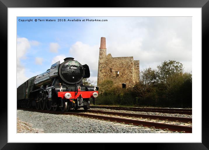 The Cathedrals Express 60103 Framed Mounted Print by Terri Waters