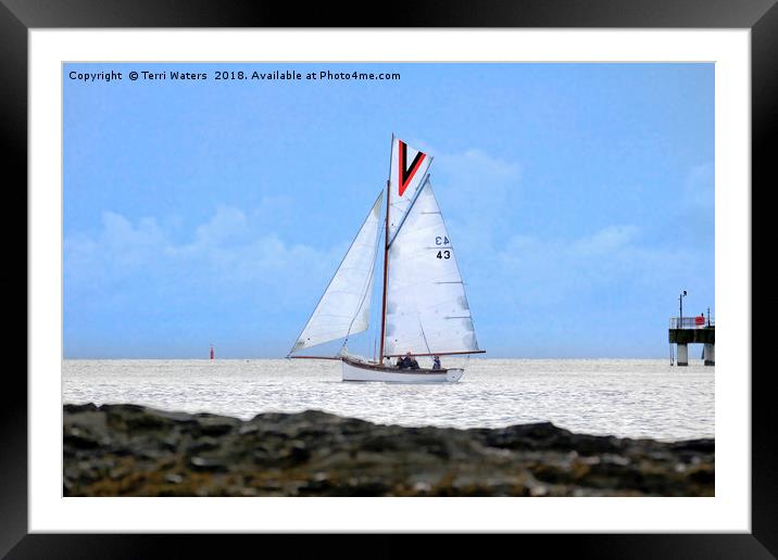 Zilpha in Carrick Roads Cornwall Framed Mounted Print by Terri Waters