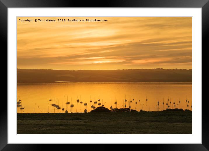 Sunrise Over The Roseland Cornwall Framed Mounted Print by Terri Waters