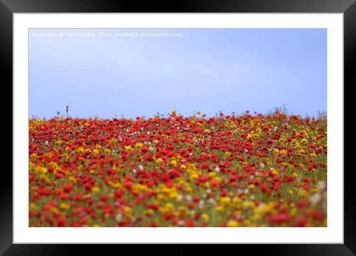Colourful Field Framed Mounted Print by Terri Waters