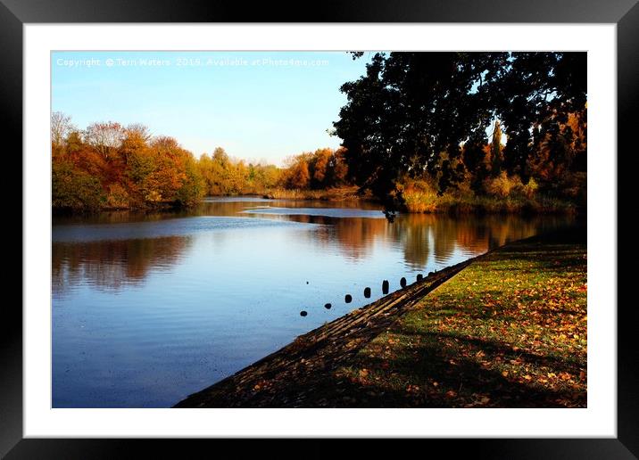 River Itchen in Autumn Framed Mounted Print by Terri Waters