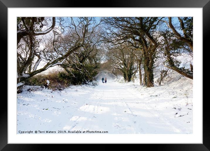 Out Walking in the Snow Framed Mounted Print by Terri Waters