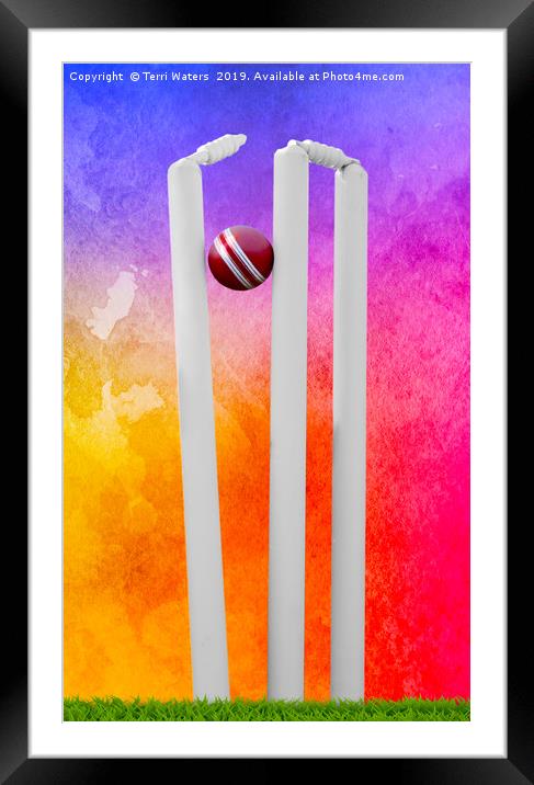 Colourful Cricket Stumps Framed Mounted Print by Terri Waters