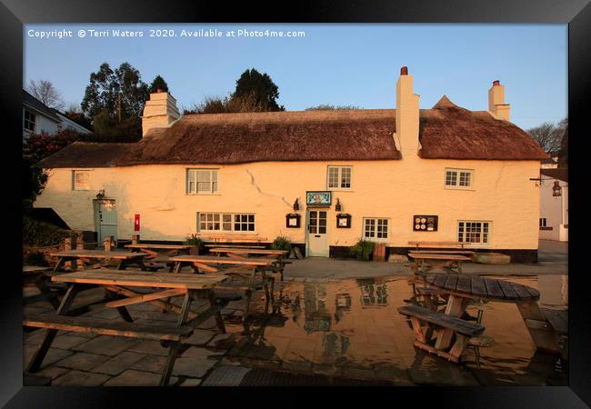 Morning Light on the Pandora Inn Framed Print by Terri Waters