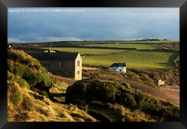Cornish Cottage Cornish Hedge Framed Print by Terri Waters