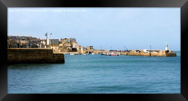 St Ives Harbour Framed Print by Terri Waters