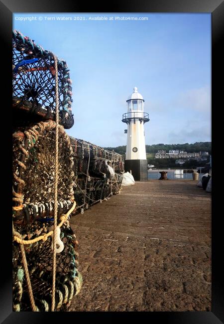 Fishing Pots on Smeaton's Pier St Ives Framed Print by Terri Waters