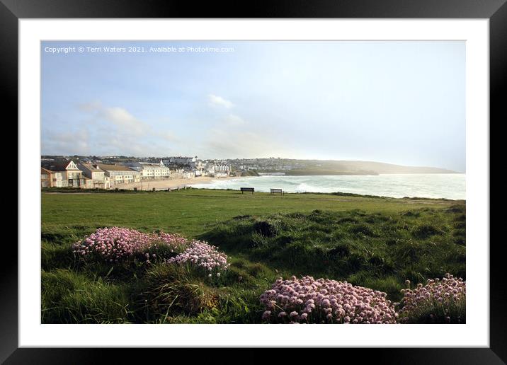 Porthmeor Thrift Framed Mounted Print by Terri Waters