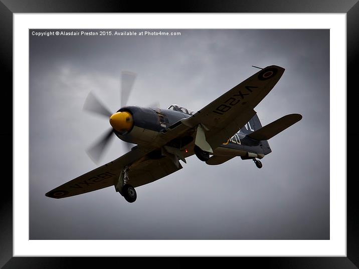  Hawker Sea Fury Framed Mounted Print by Alasdair Preston